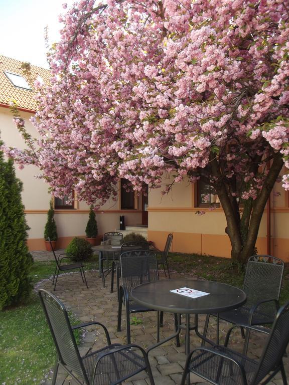 Pannon Hotel Bejelentkezes 20 Oraig, Check-In Until 20 O'Clock, Einchecken Bis 20 Uhr โมแฮชส์ ภายนอก รูปภาพ